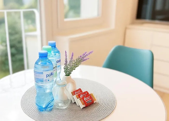 Premium Agashi - Bardzo Blisko Atlas Arena, Orientarium I Zoo, Aquapark Fala, Lotnisko Airport