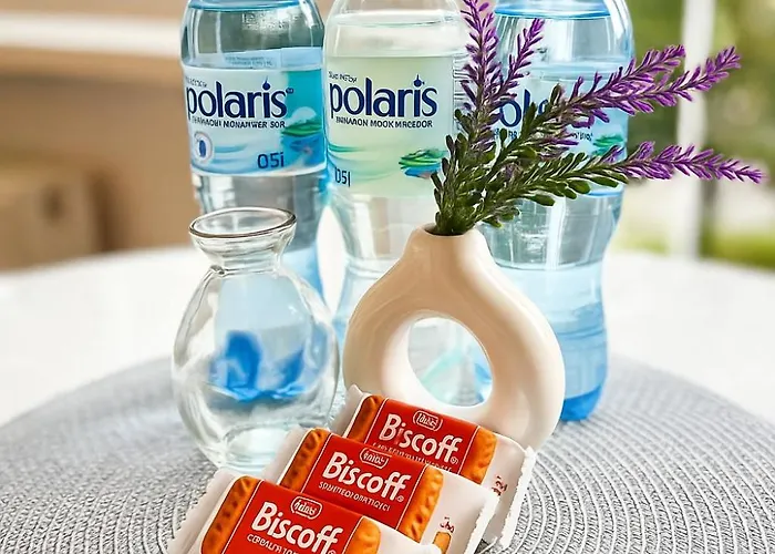 Premium Agashi - Bardzo Blisko Atlas Arena, Orientarium I Zoo, Aquapark Fala, Lotnisko Airport Apartamento